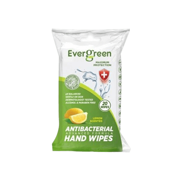 Evergreen 20ct Antibacterial Hand Wipes – KAMS Distribution Inc